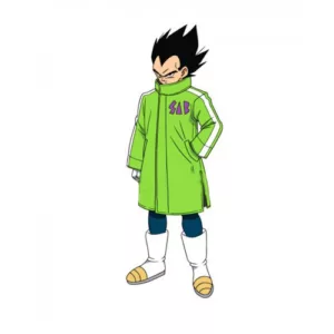 Dragon Ball Z Goku Sab Broly Cosplay Coat